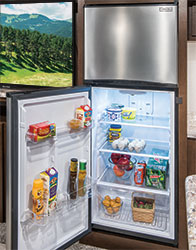 Sportsmen LE Optional 10 CU FT Stainless Steel Residential-Style 12V Refrigerator