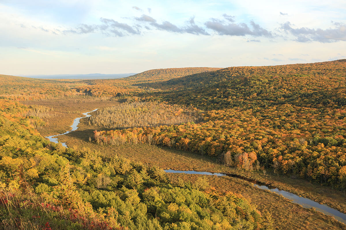 Porcupine Mountains Michigan Autumn Leaves